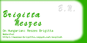 brigitta meszes business card